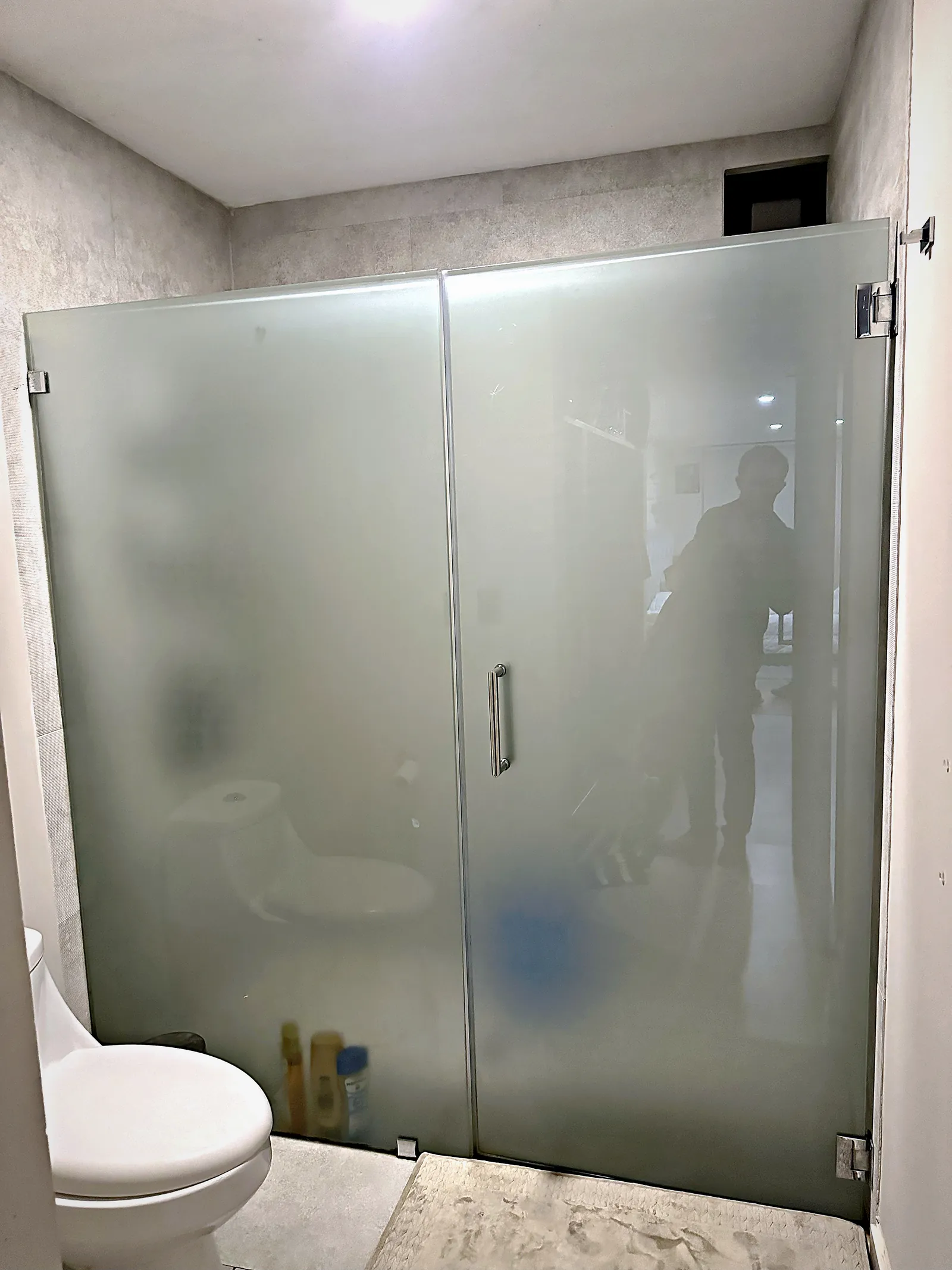 Cancel de baño de vidrio esmerilado con puerta abatible
