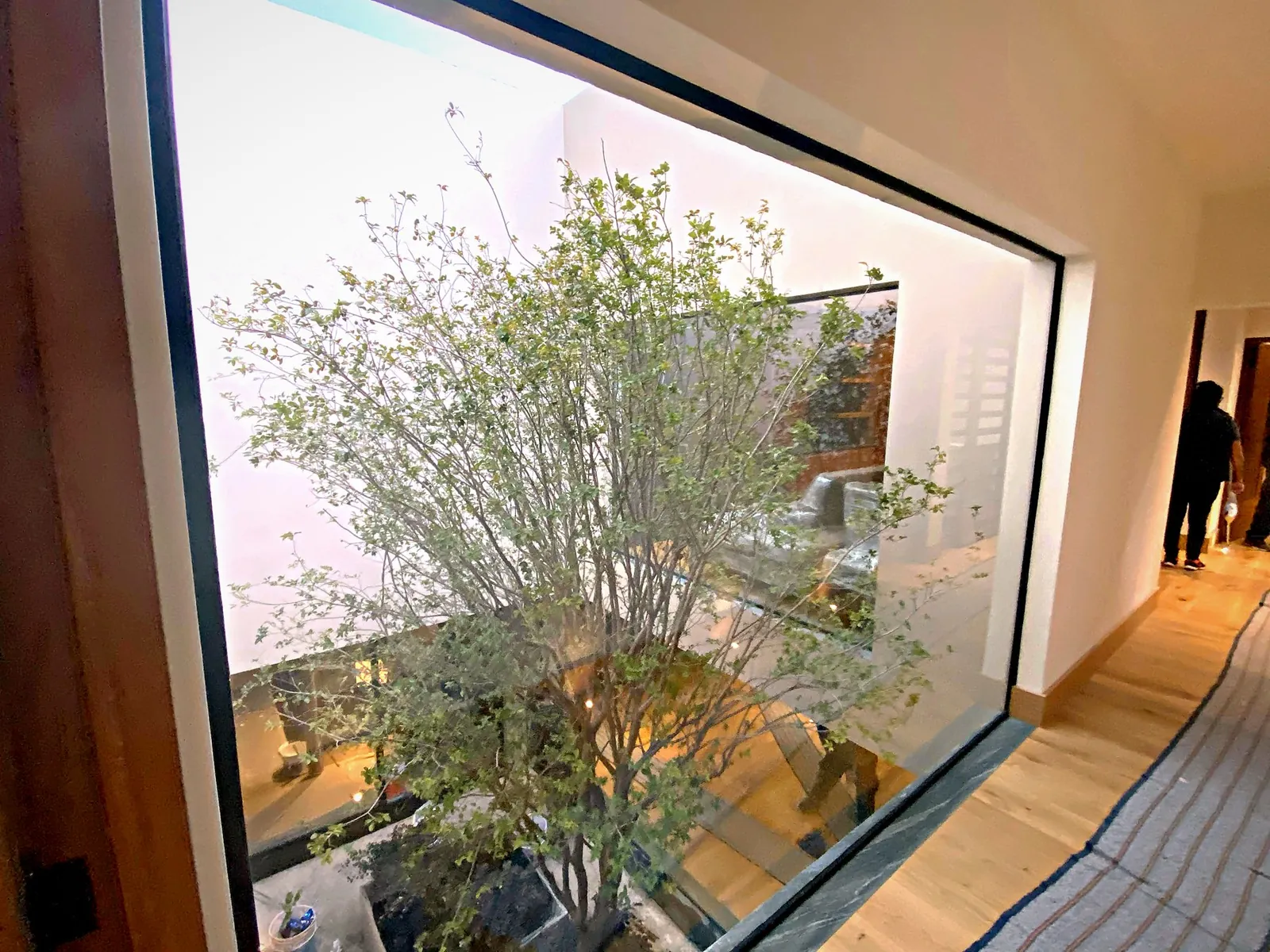 Ventanal fijo de gran formato con vista a un árbol interior
